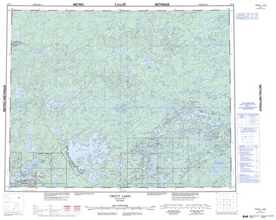 052N - TROUT LAKE - Topographic Map