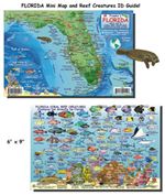 Florida State Fish Card