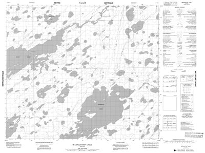 053M01 - MAKAKAYSIP LAKE - Topographic Map