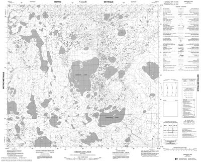 054E13 - GRESHAM LAKE - Topographic Map