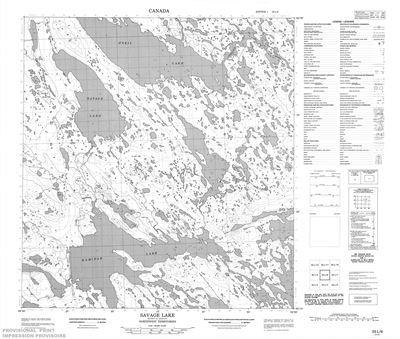 055L06 - SAVAGE LAKE - Topographic Map