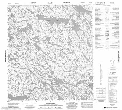 055N10 - BUTTS LAKE - Topographic Map