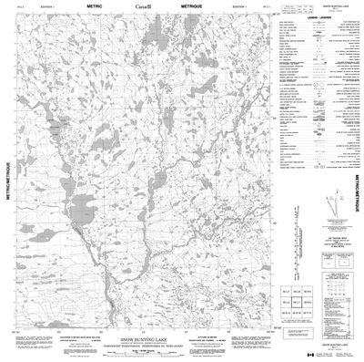 056L01 - SNOW BUNTING LAKE - Topographic Map