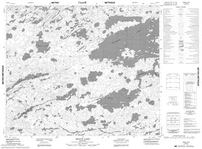 063H16 - BEACH LAKE - Topographic Map