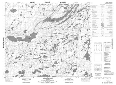 063I08 - ROBINSON LAKE - Topographic Map