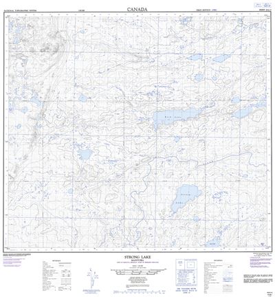 064A04 - STRONG LAKE - Topographic Map