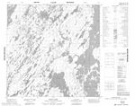 064N16 - BAGG LAKE - Topographic Map