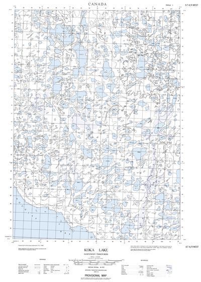 067A09W - KOKA LAKE - Topographic Map