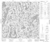 074P10 - YOUNG LAKE - Topographic Map