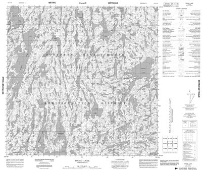 074P10 - YOUNG LAKE - Topographic Map