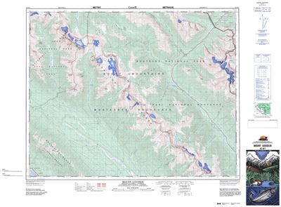 082N01 - MOUNT GOODSIR - Topographic Map