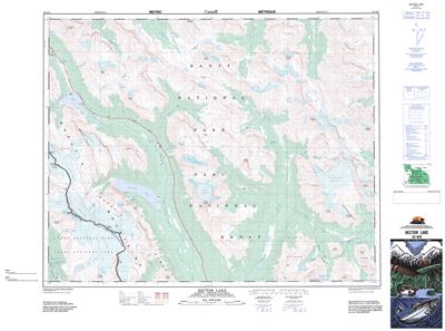 082N09 - HECTOR LAKE - Topographic Map