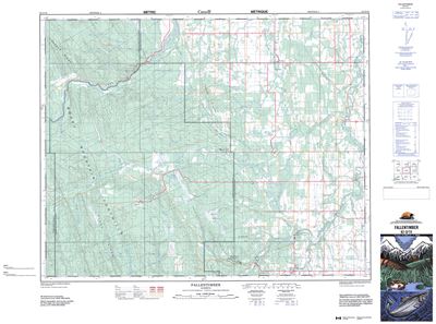 082O10 - FALLENTIMBER CREEK - Topographic Map