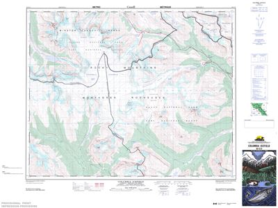 083C03 - COLUMBIA ICEFIELD - Topographic Map