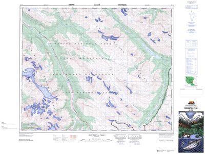 083C06 - SUNWAPTA PEAK - Topographic Map