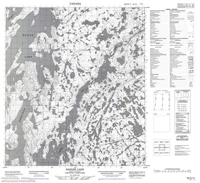 085O13 - BASLER LAKE - Topographic Map