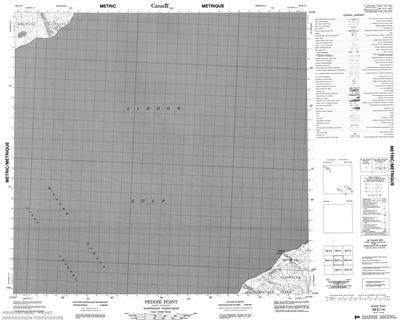 088E14 - PEDDIE POINT - Topographic Map