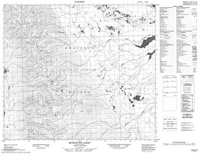 093N16 - MUSCOVITE LAKES - Topographic Map