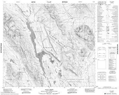094D02 - SALIX CREEK - Topographic Map