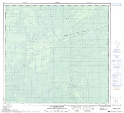 094I01 - BEAVERSKIN CREEK - Topographic Map