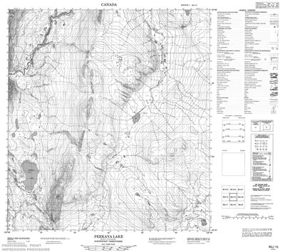 095J15 - PEEKAYA LAKE - Topographic Map