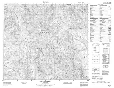 104A01 - SALLYSOUT CREEK - Topographic Map