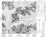 104F16 - CHUTINE PEAK - Topographic Map