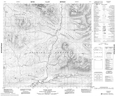 104I01 - TUCHO RIVER - Topographic Map