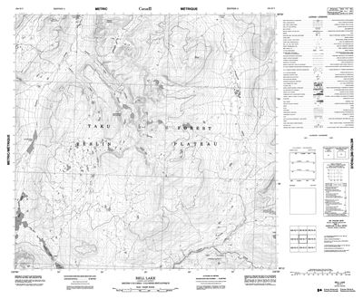 104N07 - BELL LAKE - Topographic Map