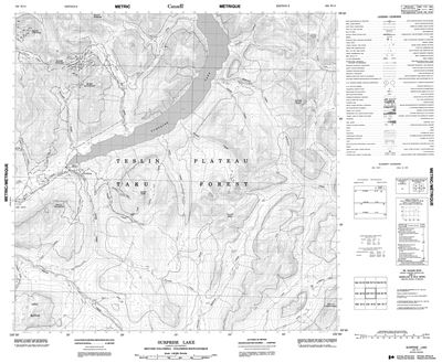 104N11 - SURPRISE LAKE - Topographic Map