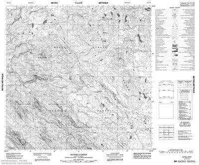 104P09 - MUSTELA CREEK - Topographic Map