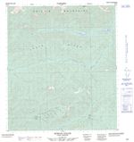 106D04 - DUBLIN GULCH - Topographic Map