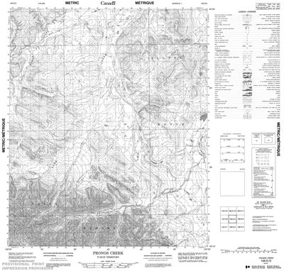 106E05 - PRONGS CREEK - Topographic Map