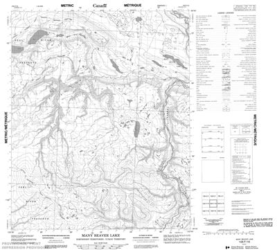 106F16 - MANY BEAVER LAKE - Topographic Map