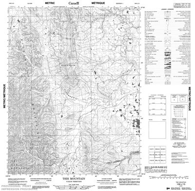 106L13 - TSIH MOUNTAIN - Topographic Map