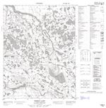 106M08 - NEREJO LAKE - Topographic Map