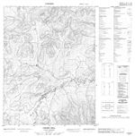 116O07 - CHOHO HILL - Topographic Map