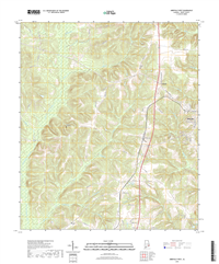 Abbeville West Alabama - 24k Topo Map