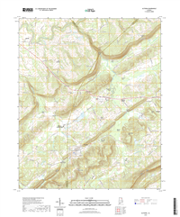 Altoona Alabama - 24k Topo Map