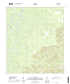 Tensaw Alabama - 24k Topo Map