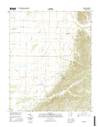 Walcott Arkansas - 24k Topo Map