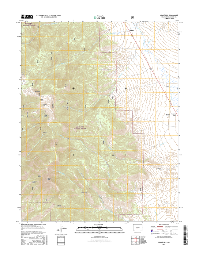 Whale Hill Colorado - 24k Topo Map