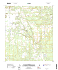 Altha East Florida - 24k Topo Map