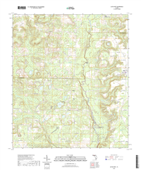 Altha West Florida - 24k Topo Map