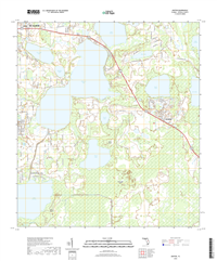 Ashton Florida - 24k Topo Map