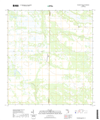Telegraph Swamp NE Florida - 24k Topo Map