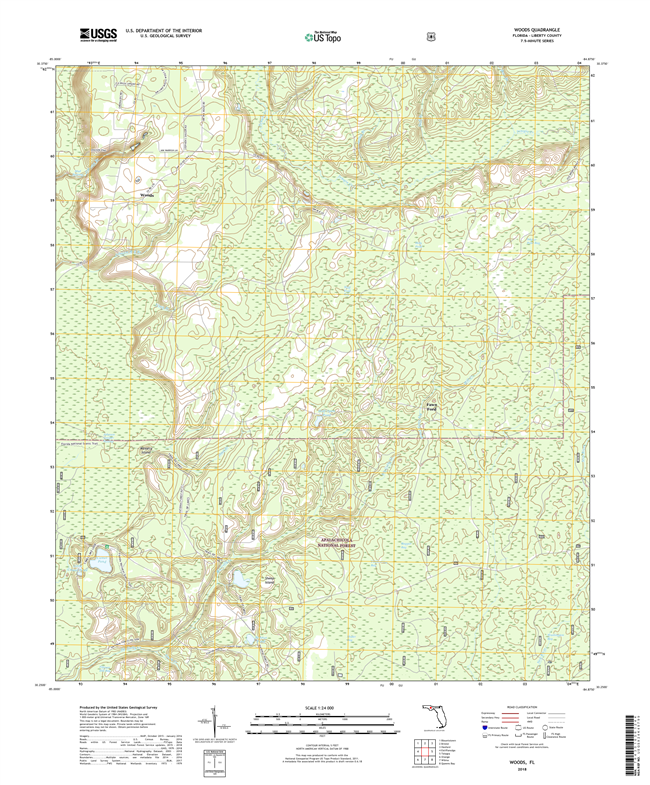 Woods Florida - 24k Topo Map