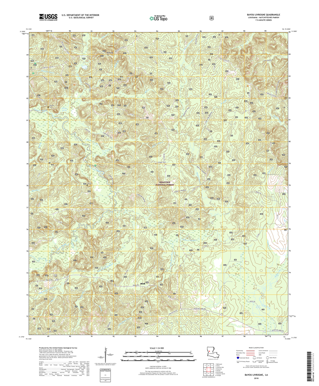 Bayou Livrogne Louisiana - 24k Topo Map