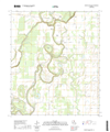 Whitney Island South Louisiana - 24k Topo Map