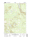 Wellston Michigan - 24k Topo Map